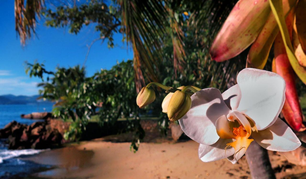 Villa Paraty Marin Extérieur photo